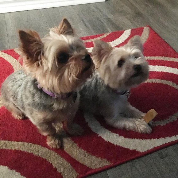 Meet Your Posher, Alex! - Picture 3 of 4